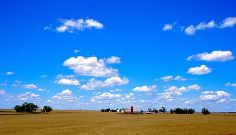 Vast flat agricultural field under bright blue sky with scattered white clouds and distant farm buildings.
