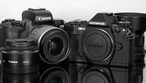 Canon and Olympus mirrorless camera bodies with lenses arranged on a reflective surface.
