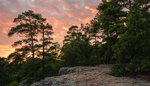 Rocky outcrop with tall pine trees silhouetted against a golden and pink sunset sky.