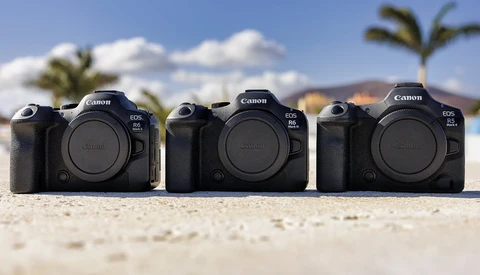 Three Canon EOS R5 mirrorless camera bodies arranged in a row on sand with palm trees and mountains in background.