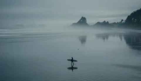 Surfer carrying board walking into misty water with forested coastline and rock formations reflected in calm sea.