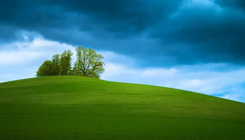 Rolling green hill with a cluster of trees silhouetted against a dramatic blue sky with storm clouds.