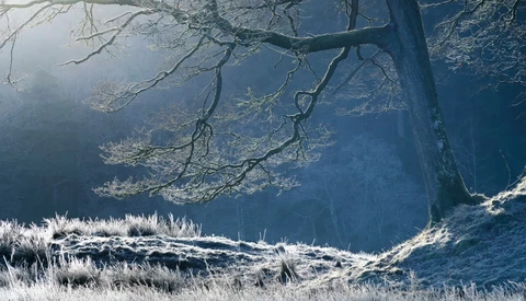 Frost-covered vegetation and bare tree branches frame a misty valley landscape with dramatic morning light.