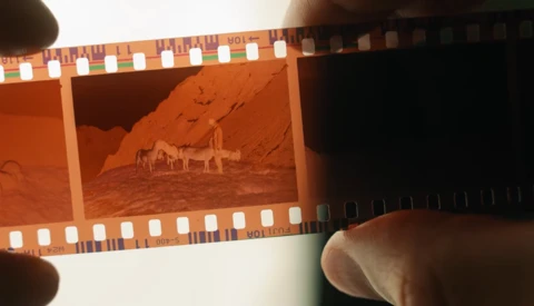 35mm film negative showing desert landscape with animals and structures under warm, reddish lighting.
