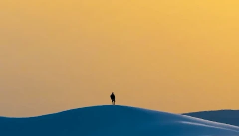 Silhouetted figure standing alone atop a curved sand dune against a golden sky.