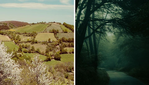 Split-screen comparison of pastoral landscape and moody forest with stream.