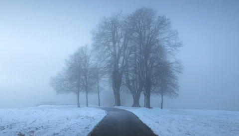 Bare trees lining a straight road receding into heavy fog on snow-covered terrain.