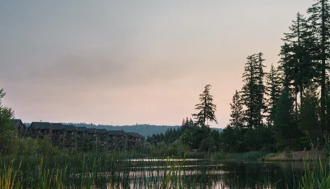 Serene lake landscape with coniferous forest and distant mountains under overcast sky.