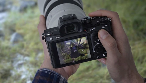 Photographer holding a mirrorless camera with telephoto lens attached, reviewing an image on the rear LCD screen outdoors.