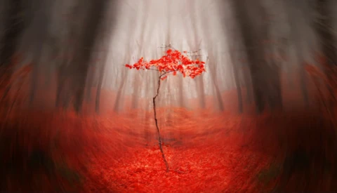 Solitary tree with bright red foliage stands in misty forest with red-tinted ground.