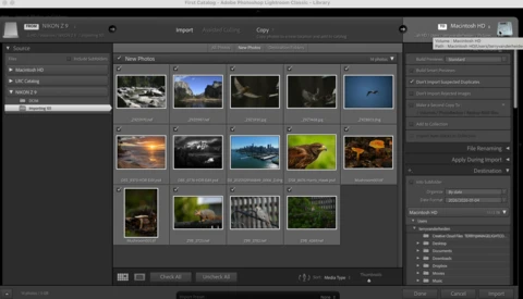 Screenshot of Lightroom's Import dialog showing a grid of landscape and nature photographs ready for import.