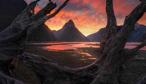 Dramatic sunset framed by gnarled driftwood logs, with a silhouetted mountain peak reflected in still water.