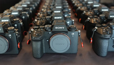 Multiple Sony Alpha mirrorless cameras arranged in rows with shallow depth of field.