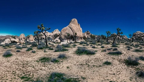 Desert landscape with distinctive rock formations and scattered Joshua trees under clear blue sky.