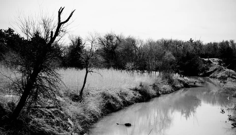 Bare tree standing alone beside a still river with reedy banks and distant woodland in black and white.