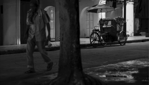 Person walking past a parked tricycle on a wet urban street at night, captured through tree branches in foreground.
