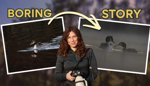 Photographer holding camera standing in front of two wildlife photographs displayed on screens.