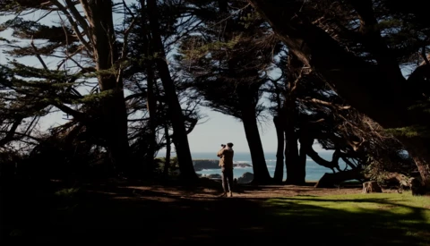 Couple standing beneath windswept trees overlooking a coastal landscape.