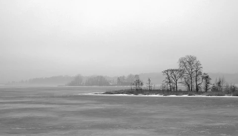 Bare trees on a misty frozen lake shore with forested hills receding into fog
