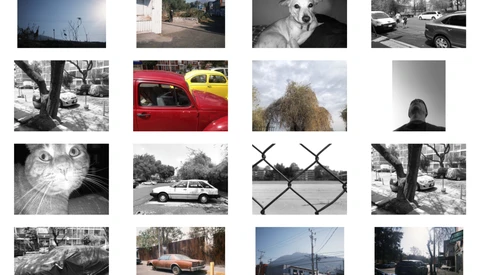 Grid layout of 16 photographs showcasing diverse subjects including vehicles, animals, architecture, and street scenes