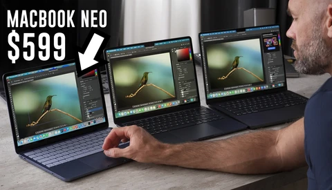 Three MacBook laptops displaying photo editing software with a bird image open on each screen.