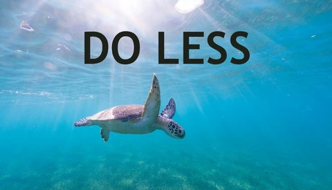 Sea turtle swimming underwater in clear blue ocean with sunlight filtering from above.