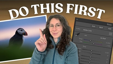 Woman pointing at puffin photo while demonstrating Adobe Lightroom editing panel on computer screen.