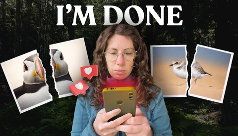 Woman holding smartphone with frustrated expression, surrounded by torn bird photographs with hearts and text overlay reading "I'M DONE.".