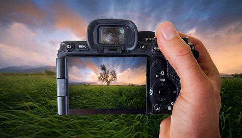 Photographer's hands holding mirrorless camera displaying landscape scene with solitary tree in green field on LCD screen.