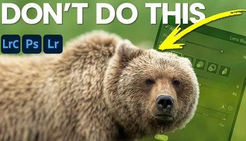Close-up of a brown bear's face against a green background with photography software interface visible.