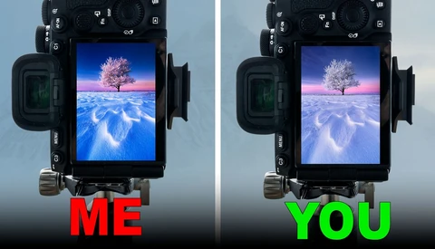 Side-by-side comparison of camera monitor displays showing the same snowy landscape with a pink-blossomed tree, labeled ME and YOU.