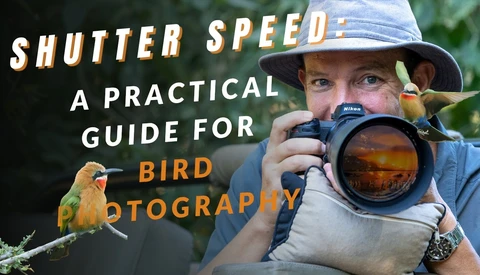Photographer holding telephoto lens aimed at small yellow bird perched on branch.