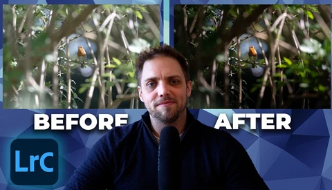 Screenshot showing before and after Lightroom color grading comparison of outdoor nature footage with a person in foreground.