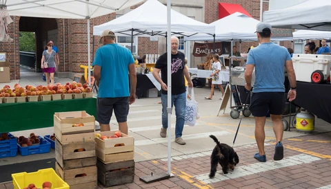 Outdoor farmers market with vendor stalls, wooden produce crates, and shoppers under white tents