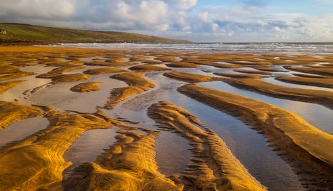 Tidal flats with golden-brown seaweed patterns and reflecting water channels under partly cloudy sky