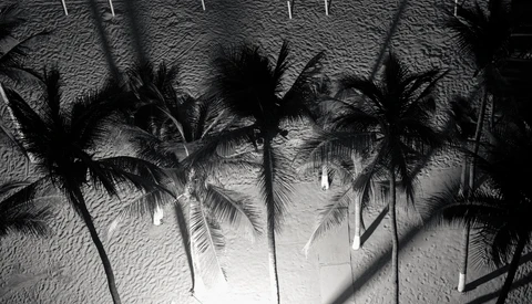 The Problem With Paradise