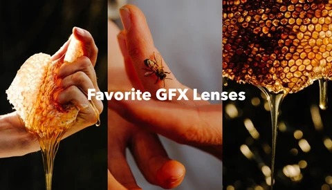 Graphic showcasing three macro photography examples with warm lighting and shallow depth of field