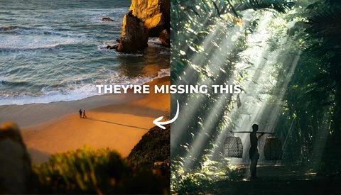 Graphic comparison of beach and forest scenes with text overlay 'They're Missing This'