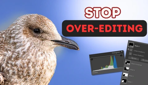 Graphic illustration featuring a seabird against blue sky with histogram display and text reading 'STOP OVER-EDITING'