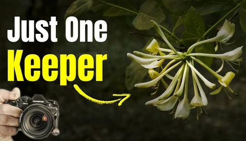 Graphic overlay showing delicate white flowers with yellow arrow pointing to text 'Just One Keeper' and DSLR camera held in hand