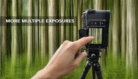 The In-Camera Multiple Exposure Technique That Turns Forest Photos Into Abstract Art
