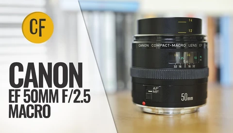 Canon EF 50mm f/2.5 Macro lens displayed with product branding and yellow CF logo
