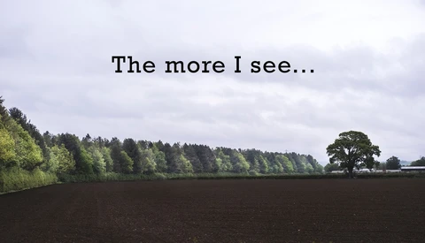Rural landscape with plowed field, tree line, and single oak tree under cloudy sky