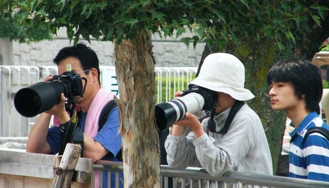 Four photographers with DSLR cameras and telephoto lenses positioned along a railing beneath tree cover