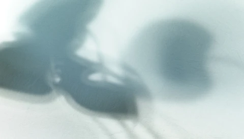 Blurred abstract composition with overlapping spherical and organic forms in muted blue-grey tones