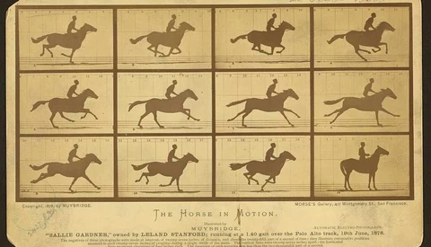 Illustration of horse and rider in motion across 12 sequential frames showing galloping progression