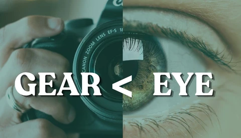 Wildlife Photos That Actually Work: 8 Field Techniques That Cost Nothing