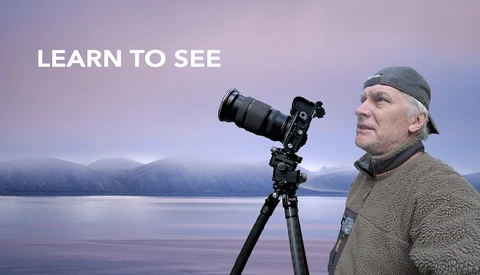 Why Good Light Won't Save a Bad Photograph