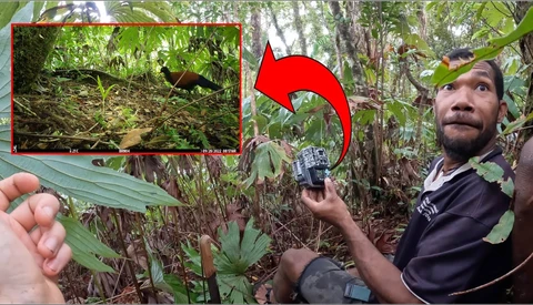 Wildlife photographer in dense jungle forest demonstrates camera technique while documenting animal in natural habitat