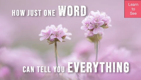 Graphic with pink flowers and blurred background featuring motivational text overlay